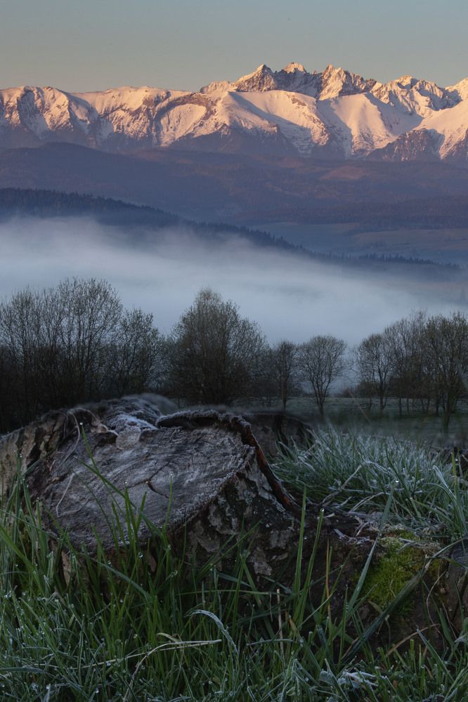 Photograph by Яна