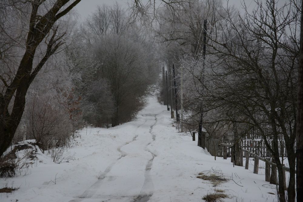 Photograph by Сергей Симаков