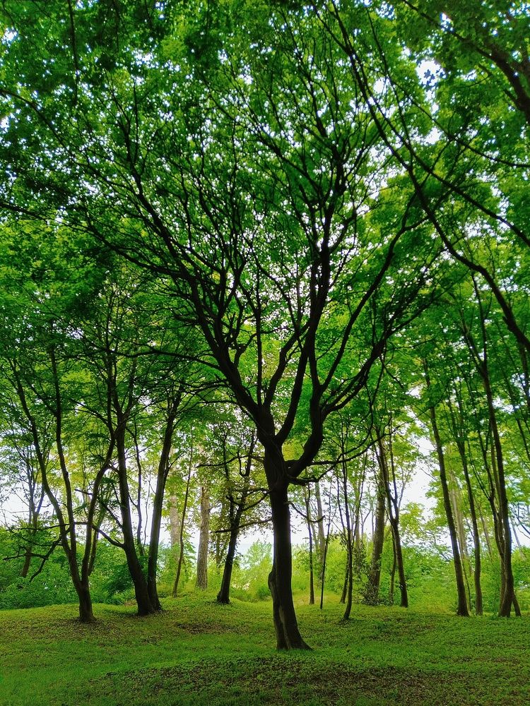 Photograph by Владимир Леликов-Кузьменко