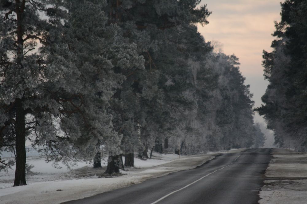 Photograph by Сергей Симаков