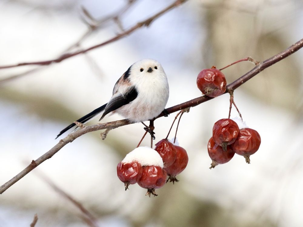 Photograph by Evgeny Nasyrov