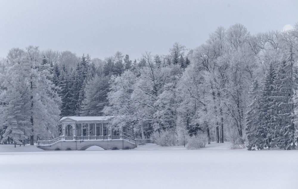 Photograph by Sergey Paramonov