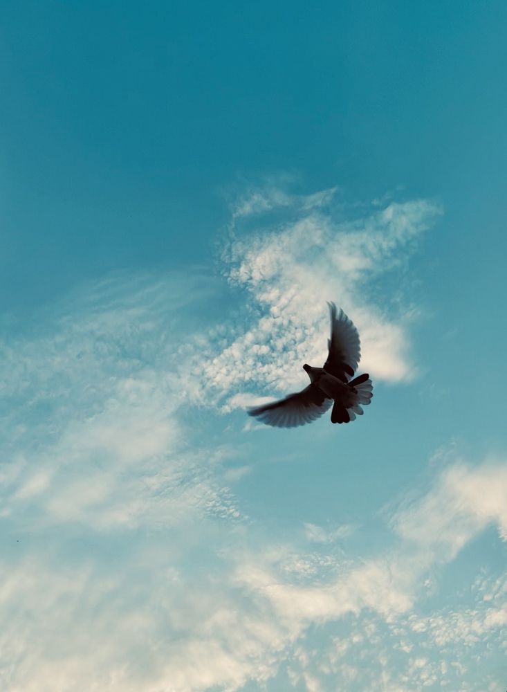 Photograph by Kartikay Srivastava