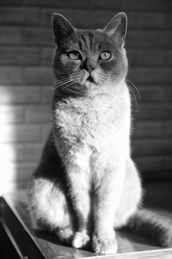 Фотография автора Наталья Боярина