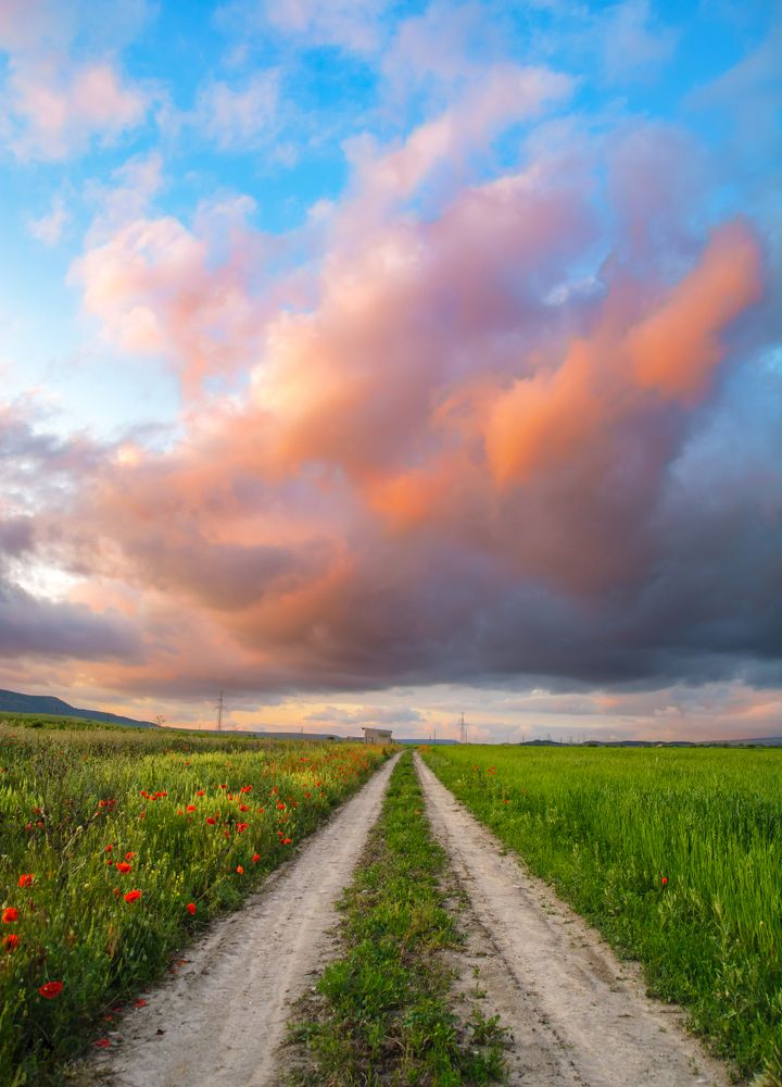 Photograph by Максим Поздеев