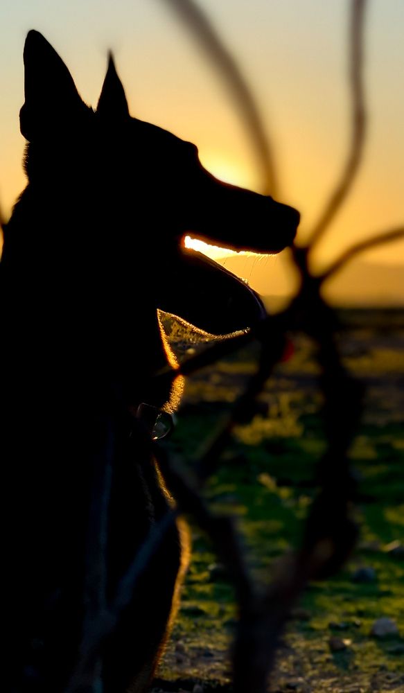 Photograph by Оксана Коваль