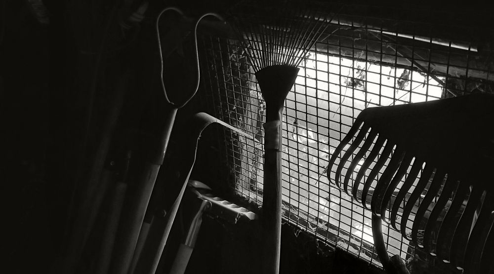 Photograph by Ирина Архипова