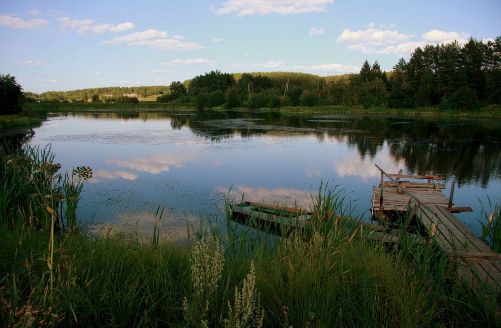 Фотография автора Nelya  Lysenko