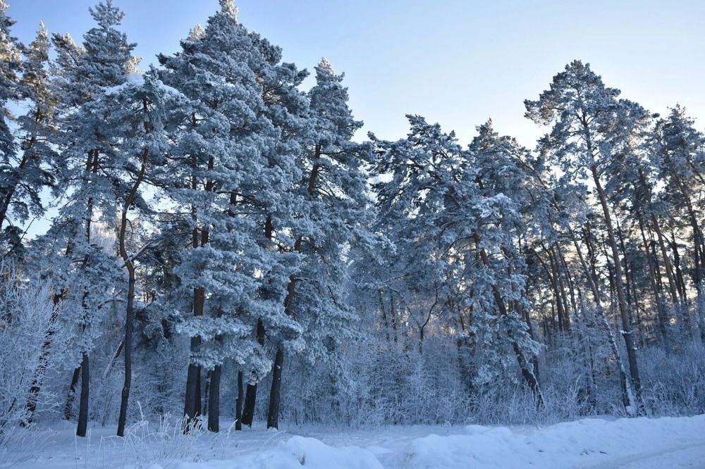 Photograph by Наталья Ивочкина