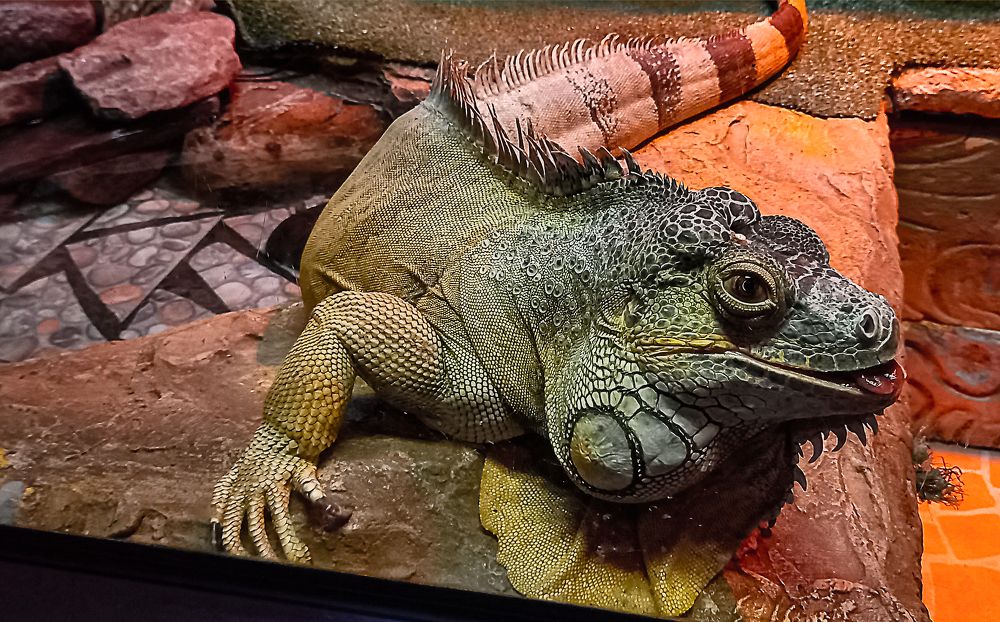 Photograph by Ирина Архипова