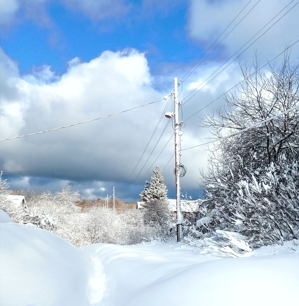 Photograph by Татьяна Пятернёва