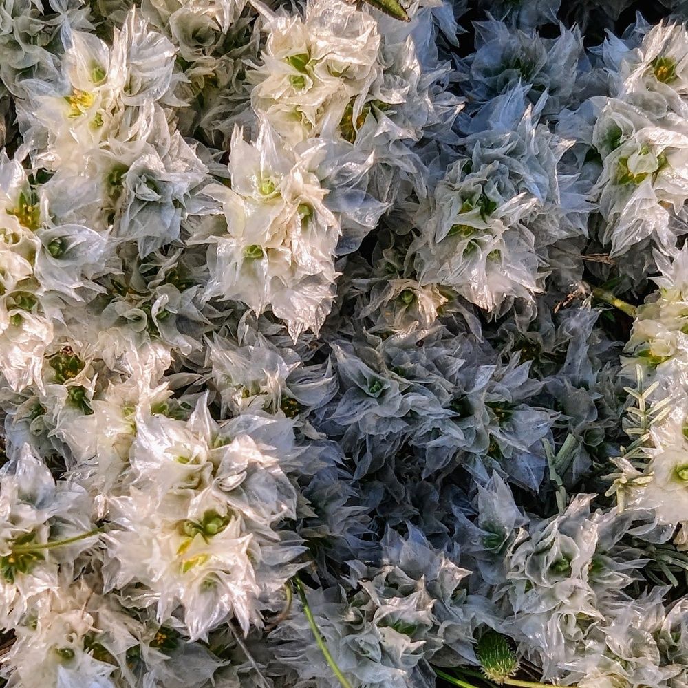 Photograph by Дмитрий Батагов