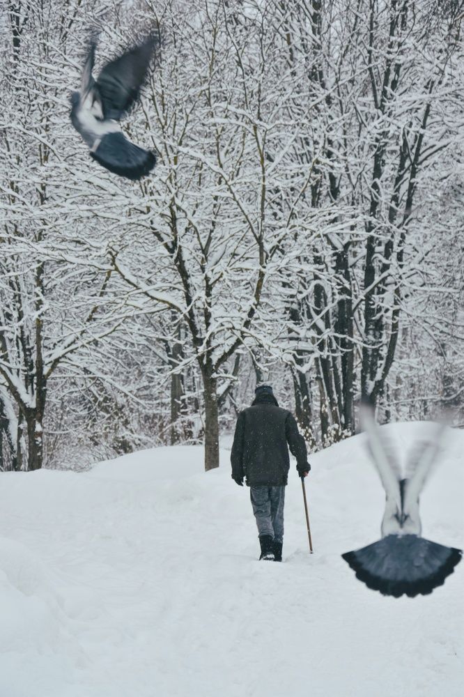 Photograph by Татьяна Сурова