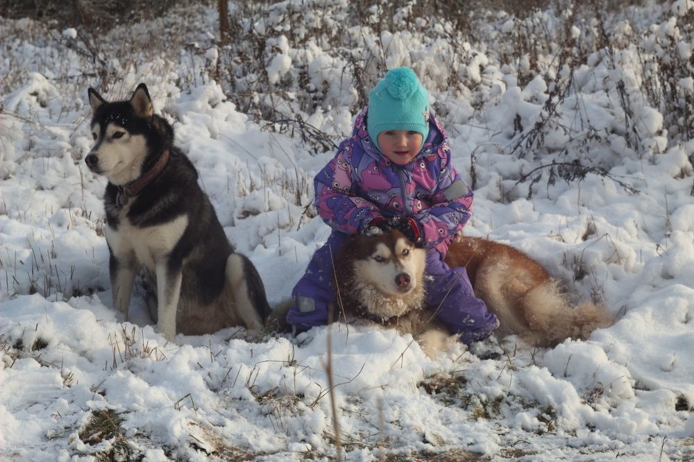 Photograph by Елена Наленч