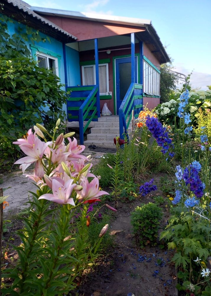 Photograph by Елена Никитина