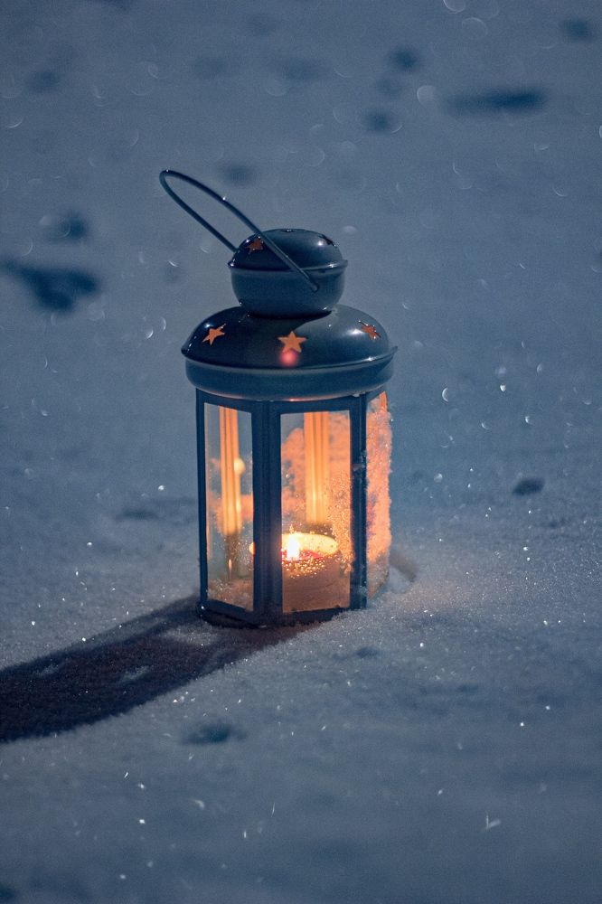 Photograph by Alena Batenchuk