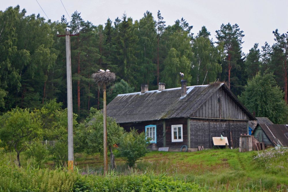 Photograph by Olga Kot