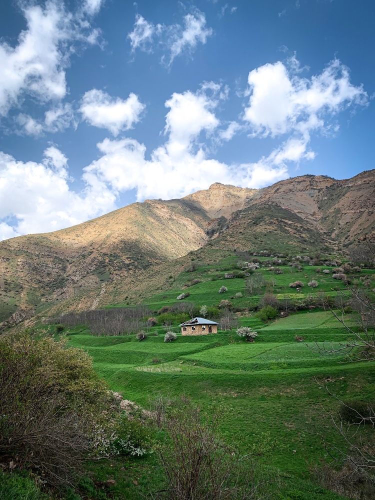 Photograph by shivajahanshahi