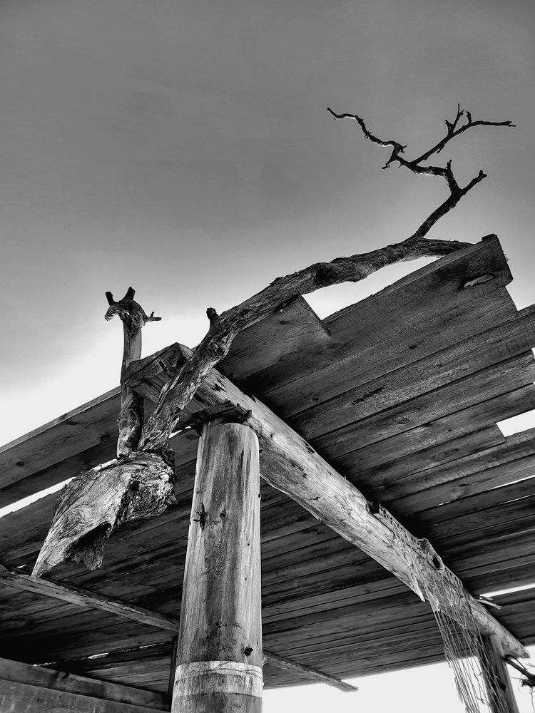 Photograph by Виталий Матвеев