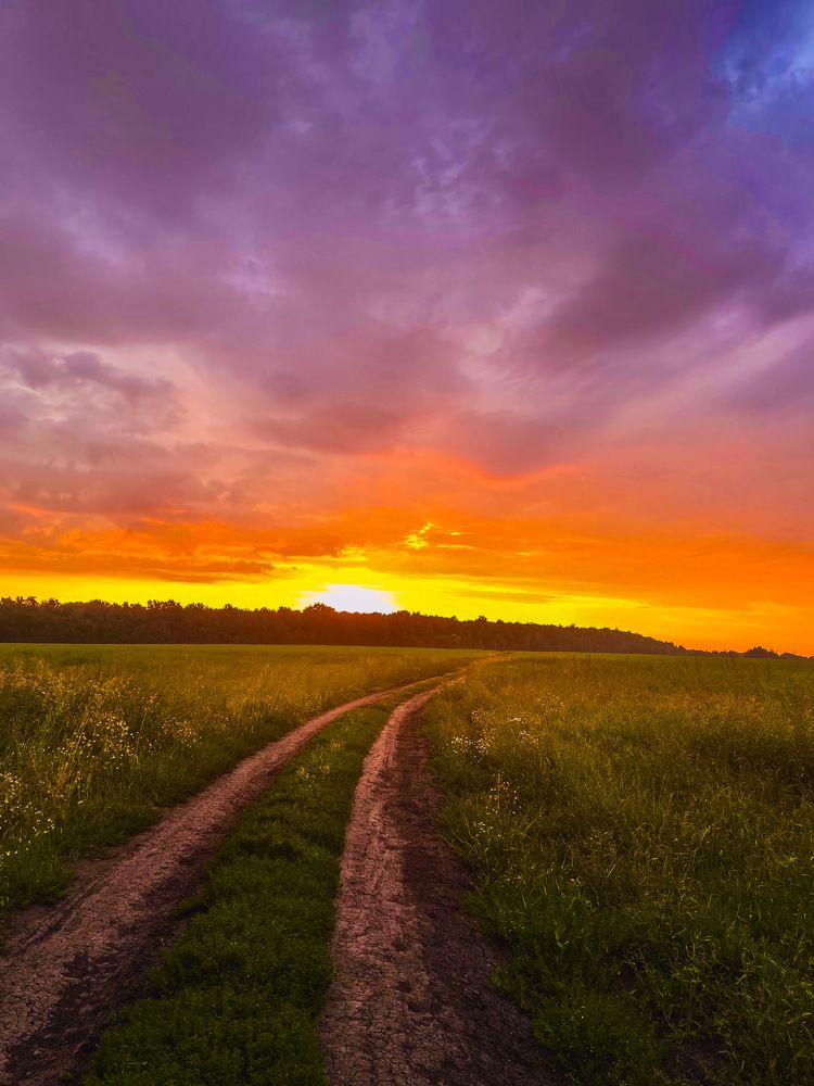 Фотография автора Дарья Лехт