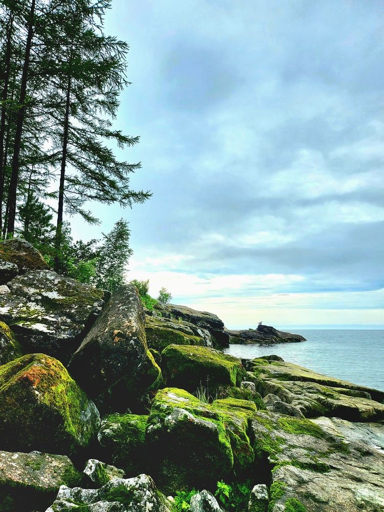 Photograph by Виталий Матвеев