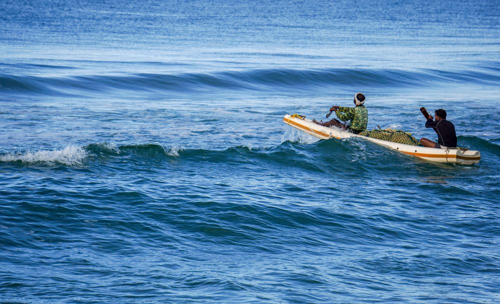 Photograph by Sajan S