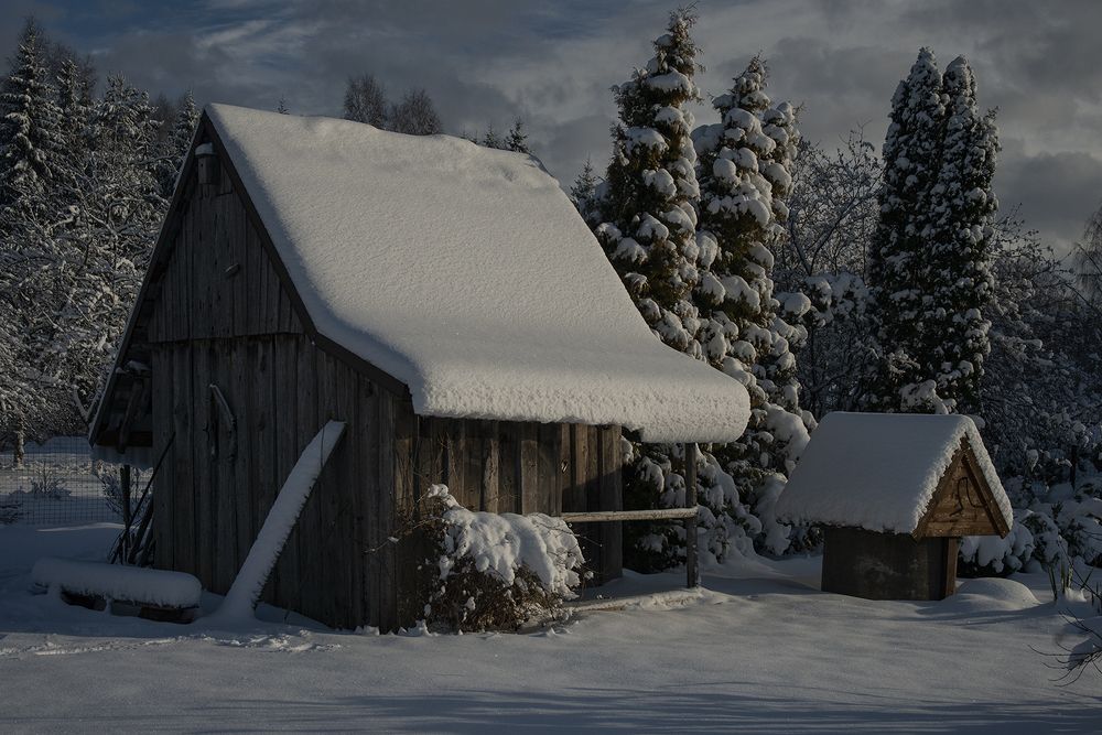 Фотография автора Eugenijus Nedzinskas