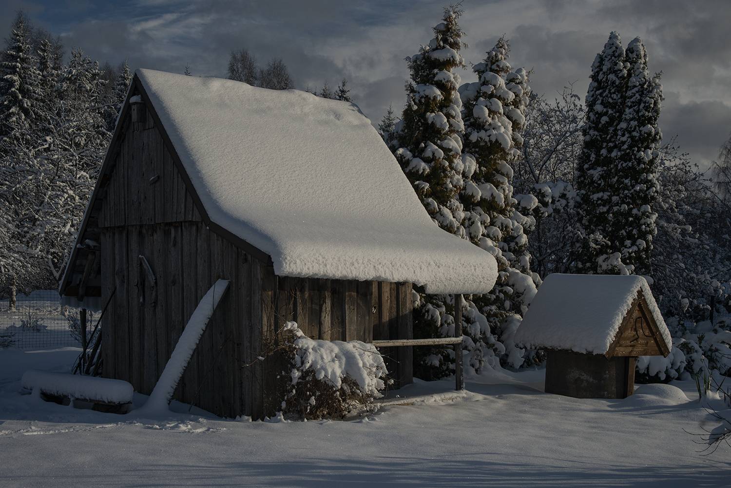 Photo #10196567
