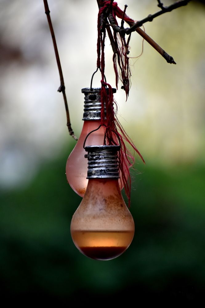 Photograph by Chrissanthi Papadopoulou