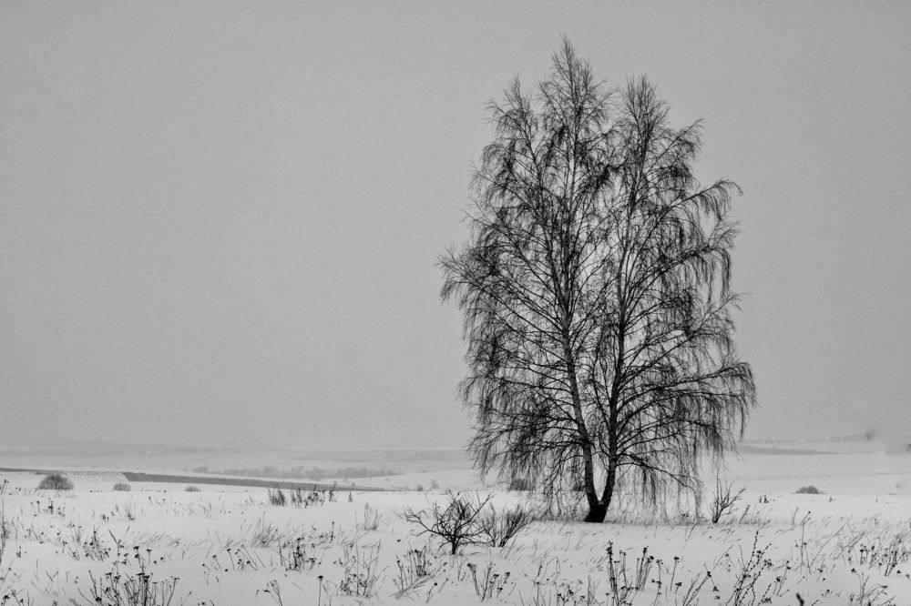 Photograph by Инна Карасева