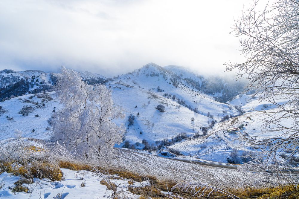 Photograph by Валерий Ситников