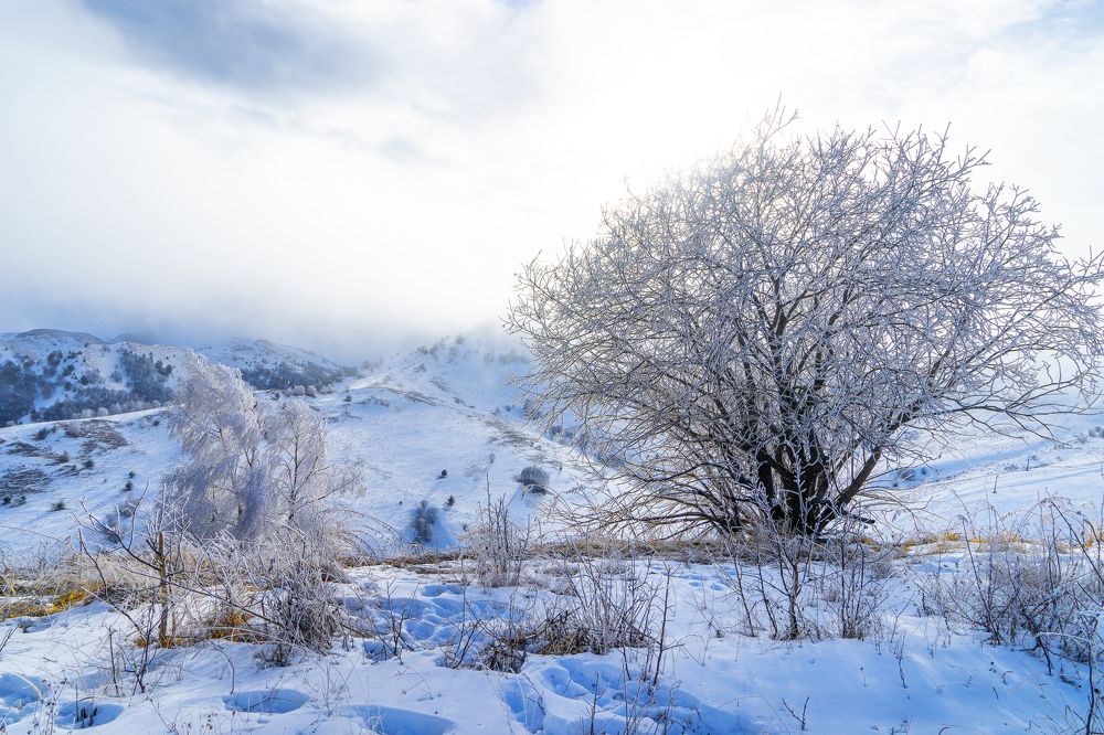 Photograph by Валерий Ситников