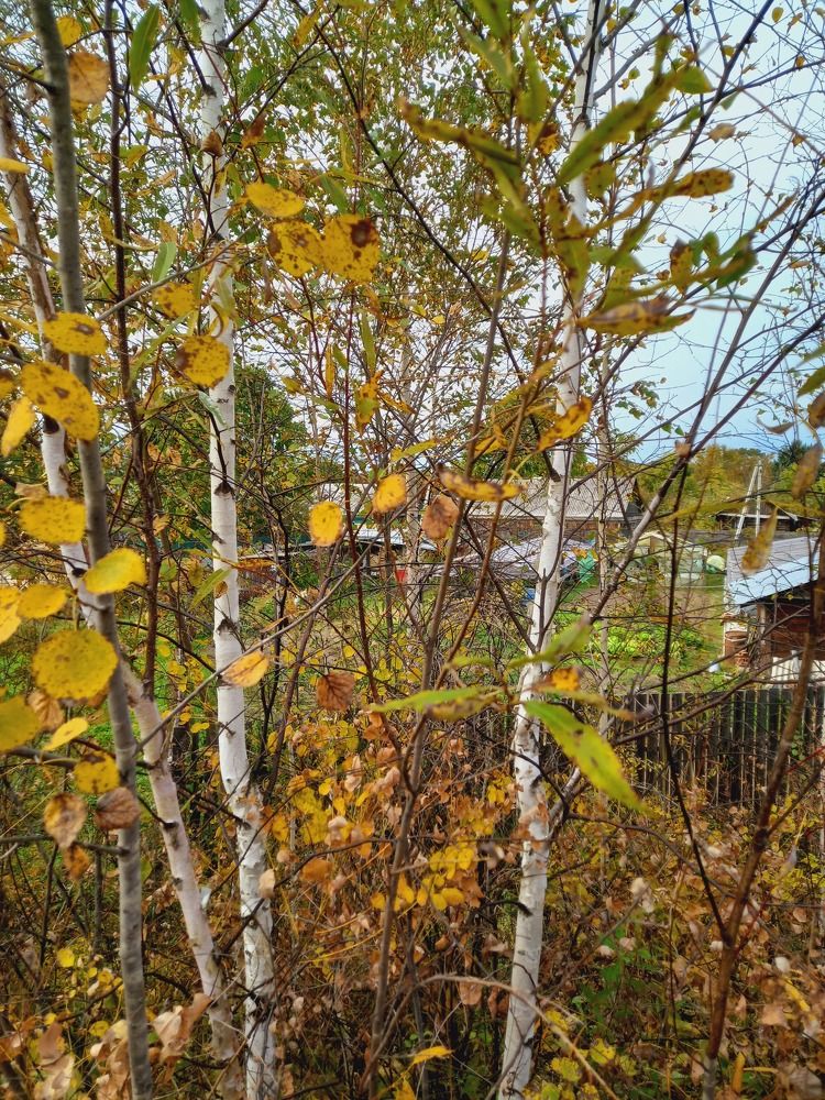 Photograph by Екатерина