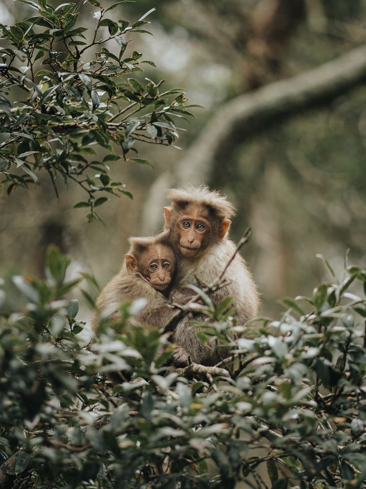 Photograph by Jayakrishna Jayakrishna