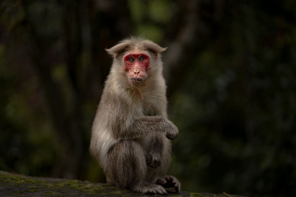 Photograph by Jayakrishna Jayakrishna