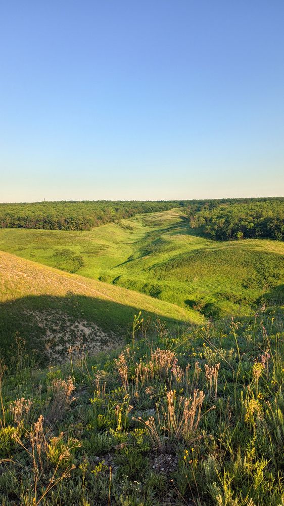 Photograph by Юлия Кононова