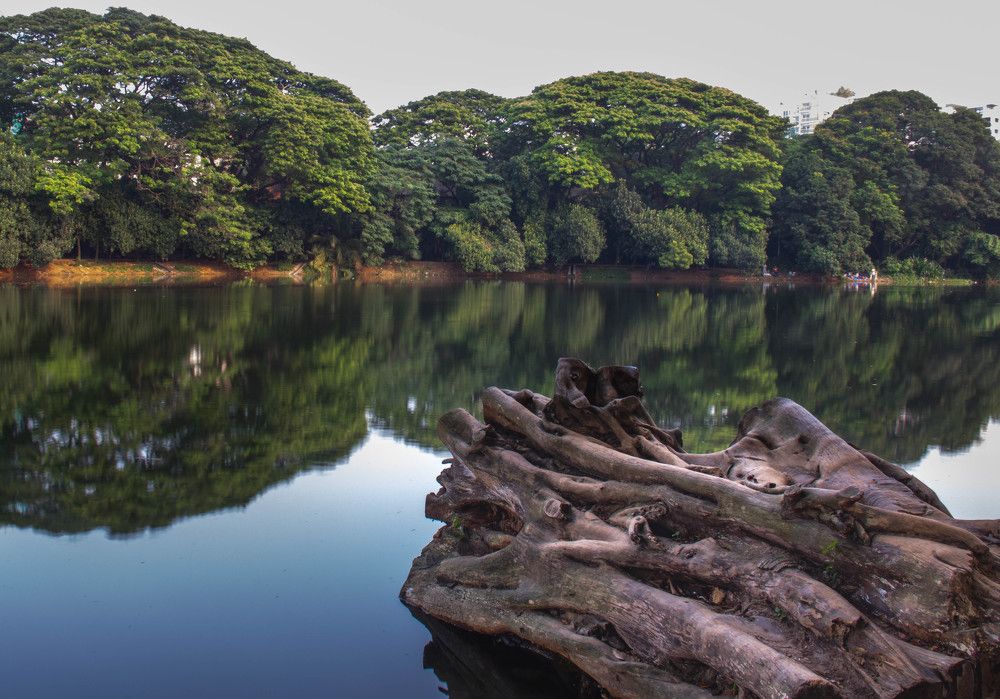 Photograph by Md. Belayet Hossain