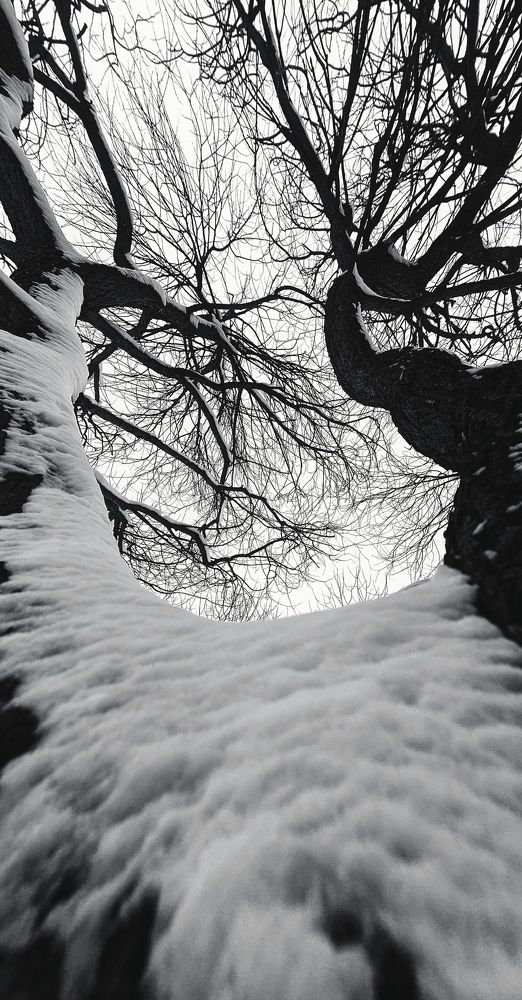 Фотография автора Васильева Ирина