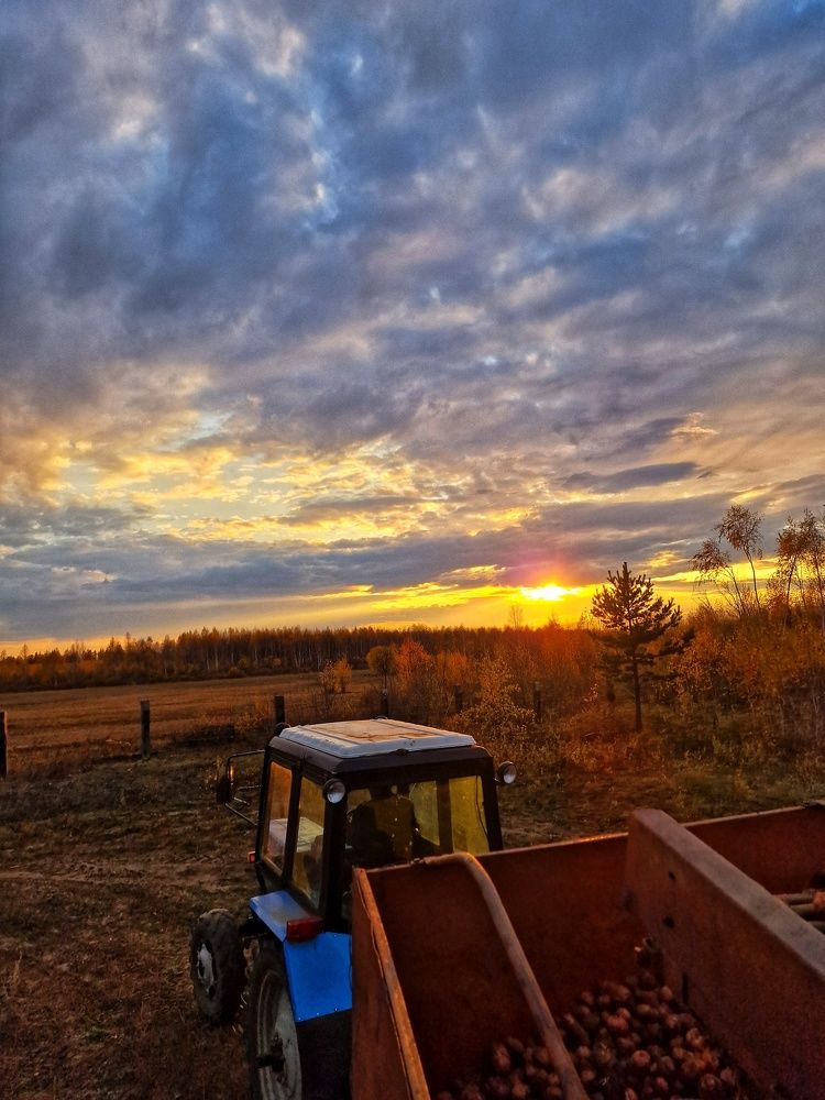 Photograph by Елена Федоткина