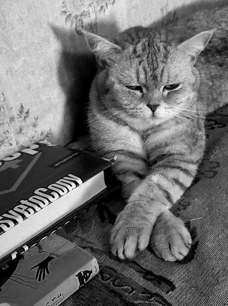 Фотография автора Владислава Андрюнина