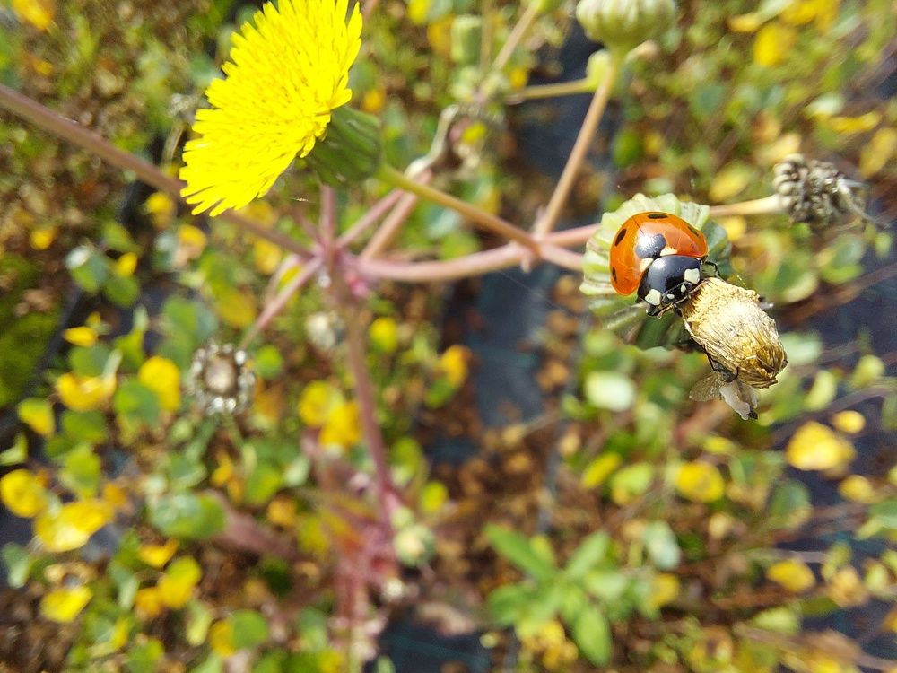 Photograph by Kristiina Soots