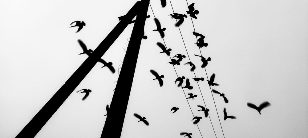 Photograph by Nivedh A M