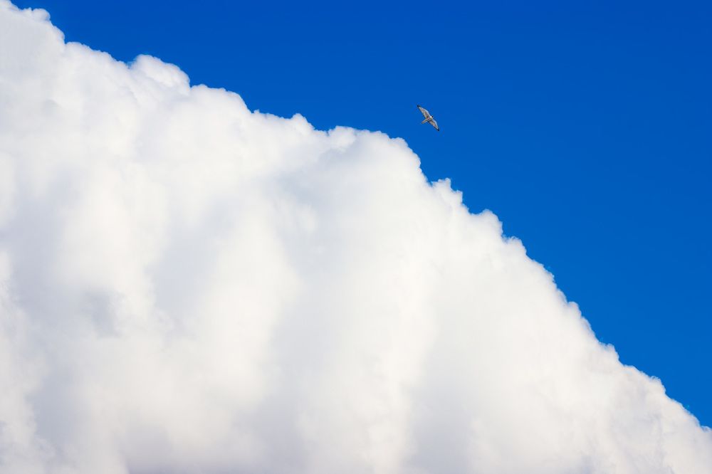 Фотография автора Mohammed Alhusseini