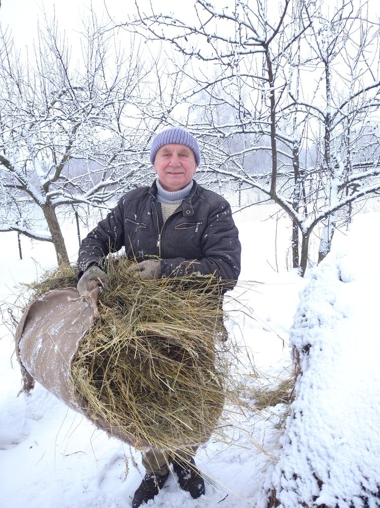 Photograph by Елена Коробченко