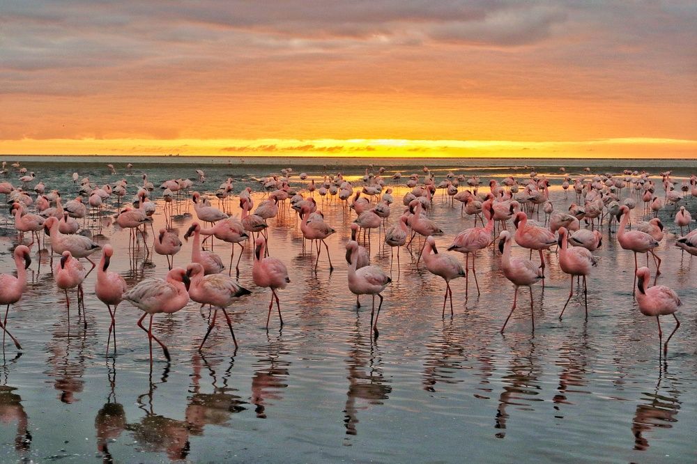 Photograph by Sam John Webster