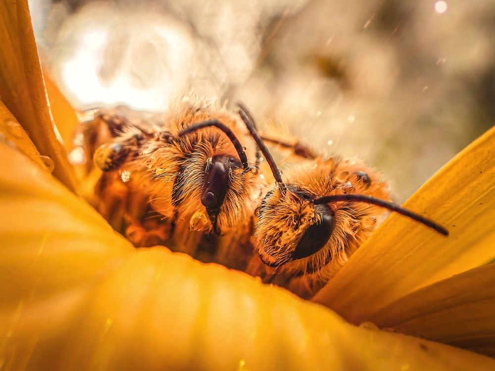 Photograph by Елена