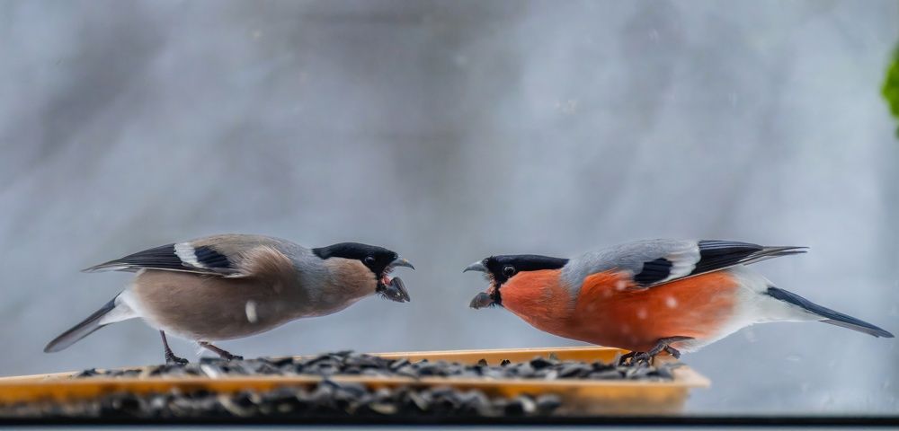 Photograph by Дэм Константин