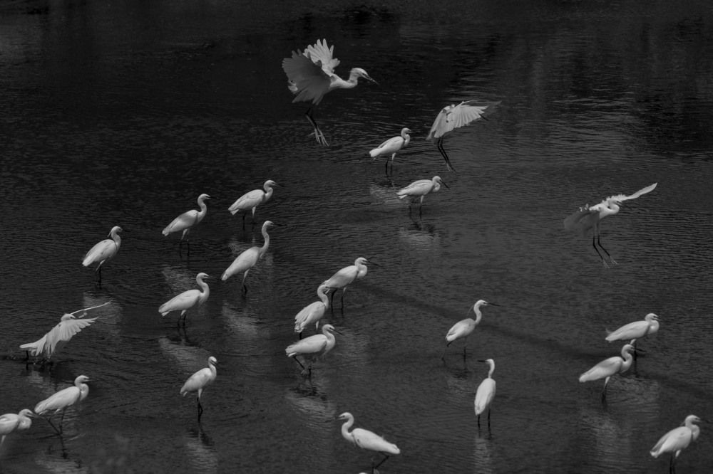 Photograph by NGUYEN QUOC HUY