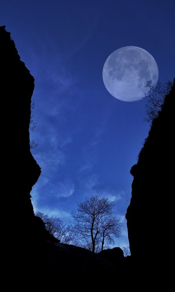 Фотография автора Mahdi Mohammadi