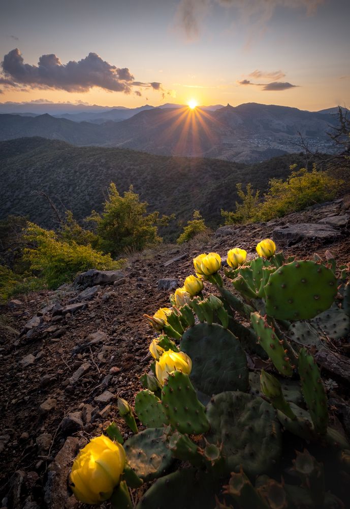 Photograph by Вадим Коротеев